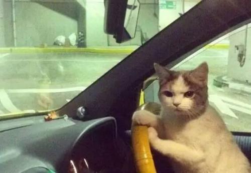 大尺度展會,提前小劇透!(圖1) 大尺度展會,提前小劇透!(圖1)